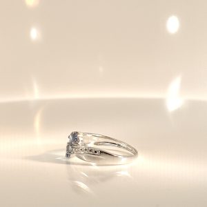 photo_1(13)